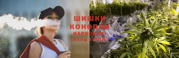 прущие грибы Медвежьегорск