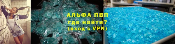 прущие грибы Медвежьегорск