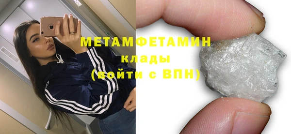 прущие грибы Медвежьегорск