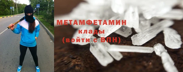 прущие грибы Медвежьегорск