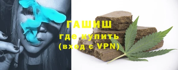 прущие грибы Медвежьегорск