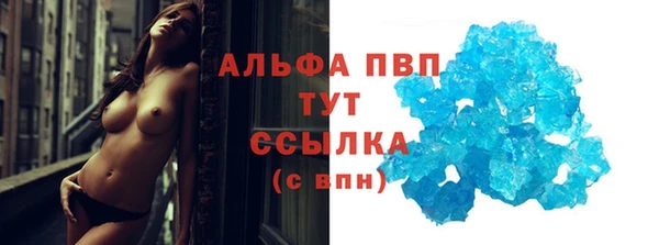 прущие грибы Медвежьегорск