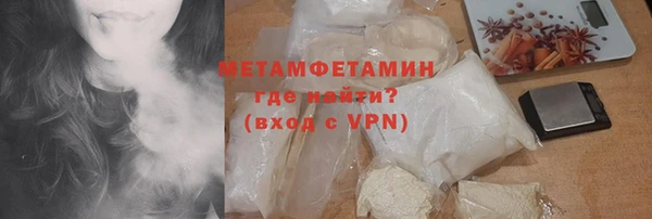 прущие грибы Медвежьегорск