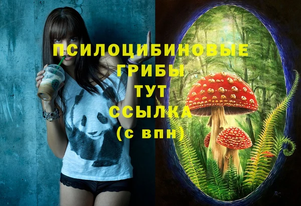 spice Медногорск