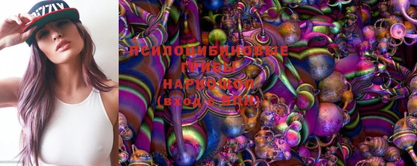 прущие крисы Мегион
