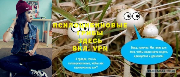 прущие грибы Медвежьегорск