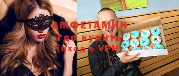 прущие грибы Медвежьегорск