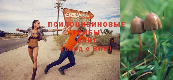spice Медногорск