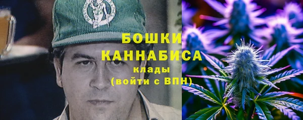 прущие грибы Медвежьегорск