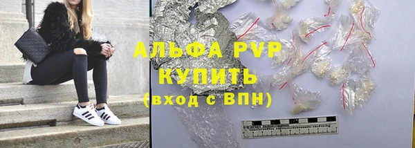 прущие грибы Медвежьегорск