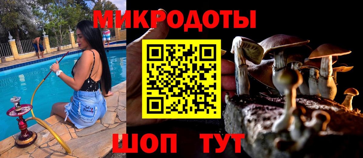 Псилоцибиновые грибы MAGIC MUSHROOMS Чистополь